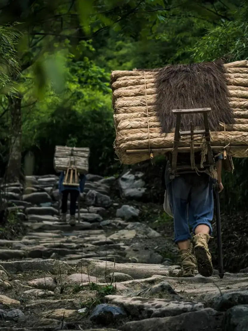 Ancient Tea-Horse Road Trekking